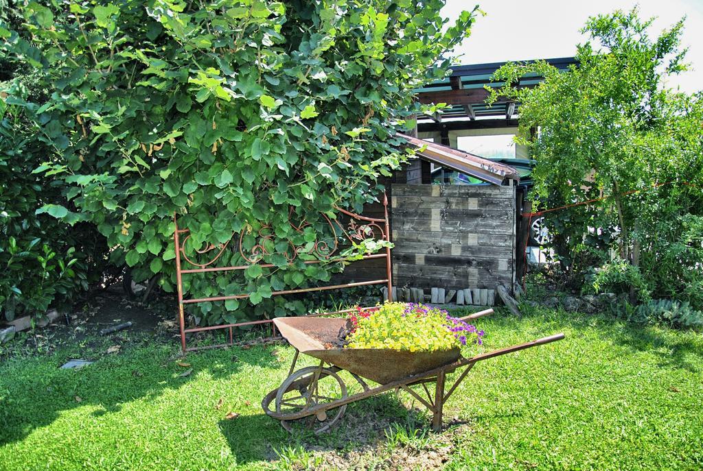 La Corte Del Macero Vendégház Castelfranco Emilia Kültér fotó